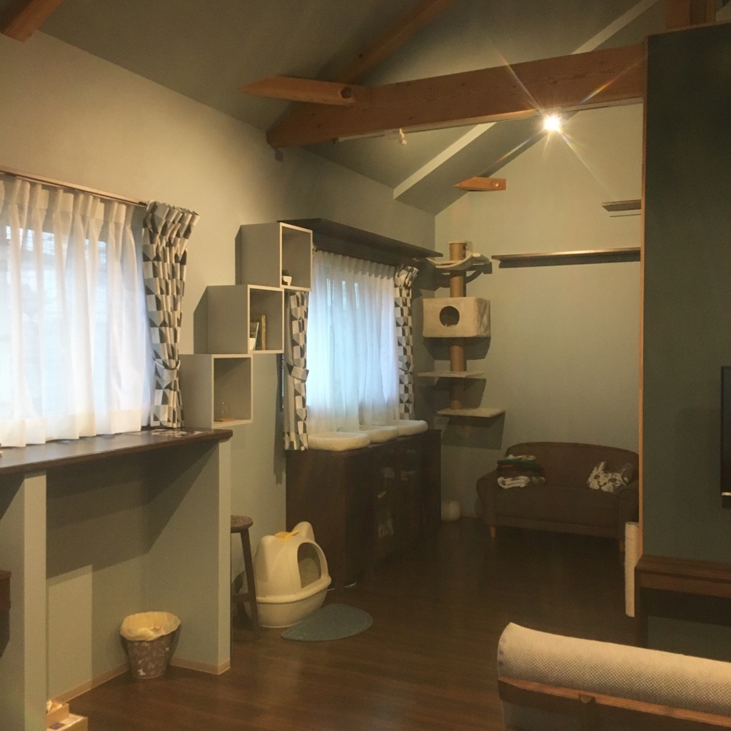 名古屋市 a様邸 猫ちゃんとくらすお部屋 カリモク特約店エーアイディー 名古屋市 a様邸 猫ちゃんとくらすお部屋 カリモク特約店エーアイディー