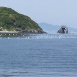 福岡県粕屋郡新宮町　相島